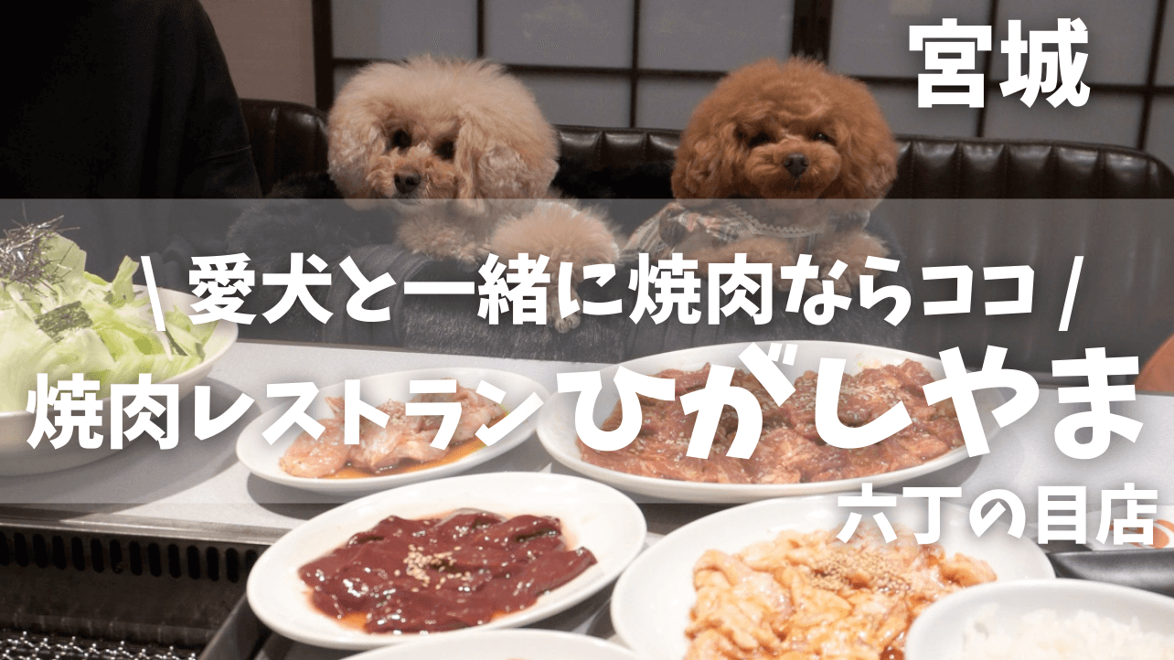 【焼肉レストランひがしやま六丁の目店】＼愛犬と一緒に個室で焼肉／