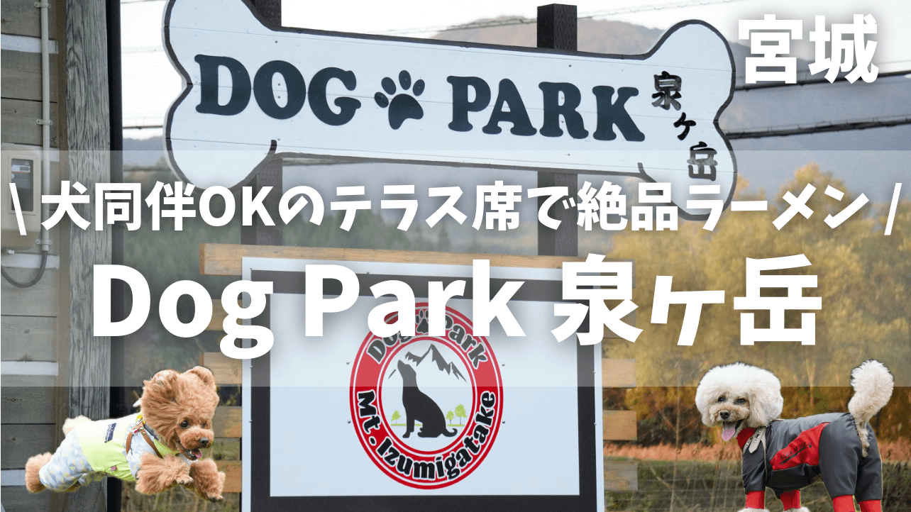 【Dog Park 泉ヶ岳】犬同伴OKのテラス席でラーメンが楽しめるドッグラン