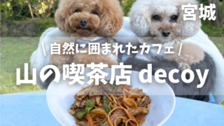 【山の喫茶店decoy】愛犬と大自然を感じるカフェでランチ｜テラス席犬同伴可