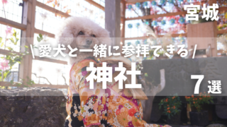 【宮城】愛犬と一緒に参拝できる神社7選|犬と楽しむ参拝ガイド