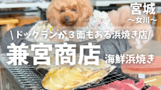【兼宮商店 浜焼きコーナー】女川で愛犬と一緒に食べる・遊べる・泊まれる!|店内わんこ同伴OK|ドッグランあり