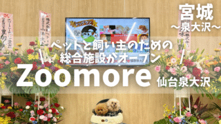 【仙台泉区】ペットとの暮らしがもっと楽しくなる！イオン大沢の大型ペットモール「Zoomore（ズーモア）」がすごかった！