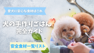 【完全保存版】犬の手作りご飯|安心食材リスト&初心者レシピ