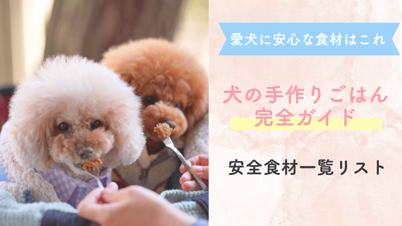【完全保存版】犬の手作りご飯｜安心食材リスト＆初心者レシピ