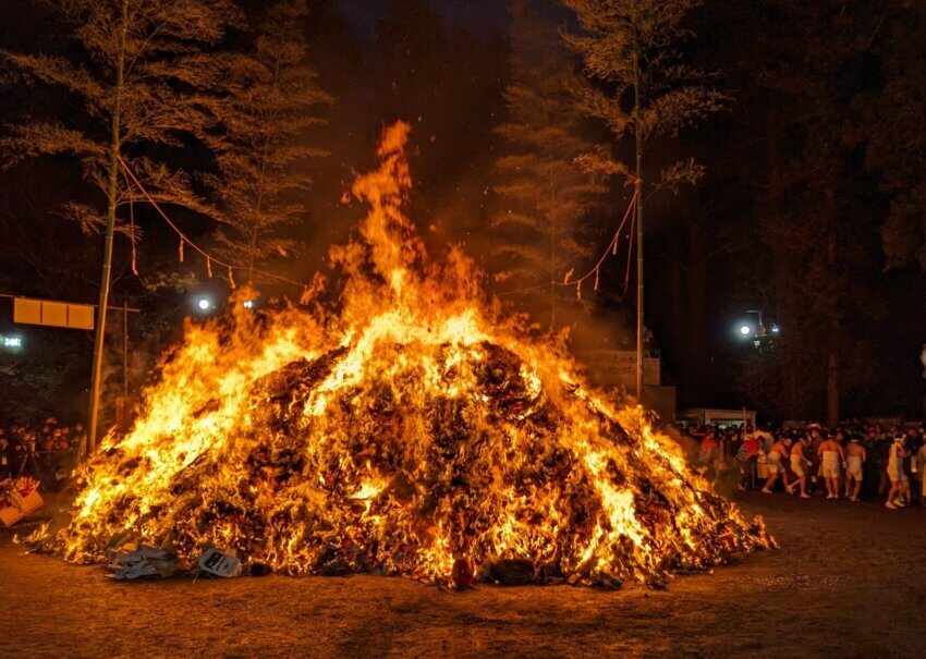 どんと祭 犬同伴  神社
