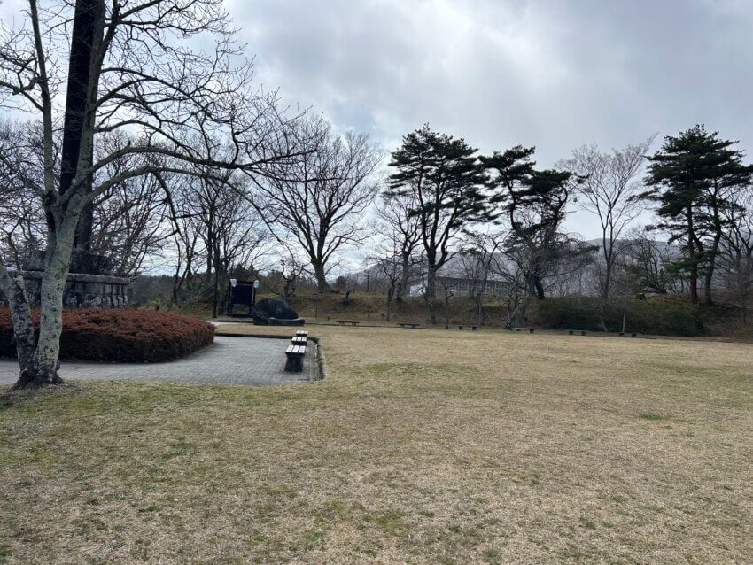 宮城 犬 桜スポット 白石城 お花見 犬連れ