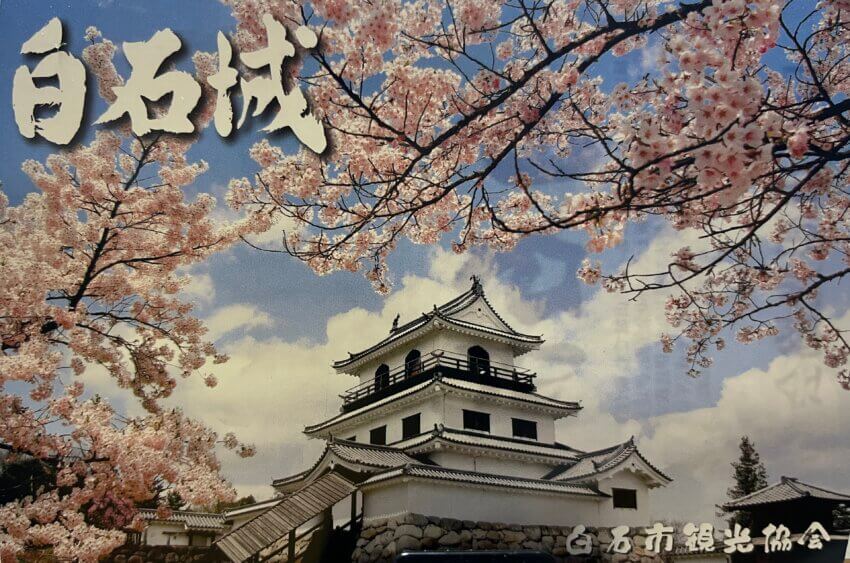 宮城 犬 桜スポット 白石城 お花見 犬連れ