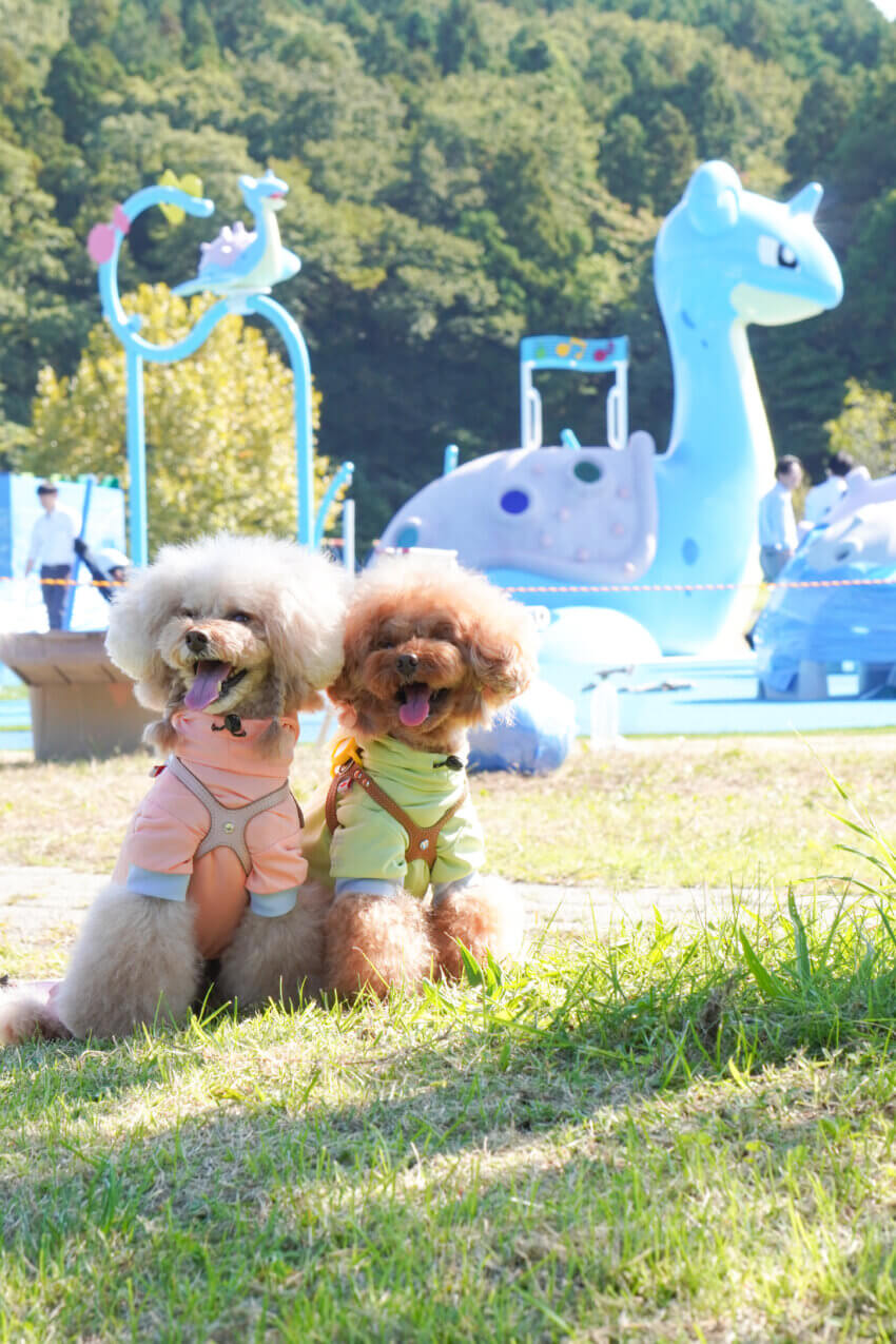 宮城 犬 桜スポット 加瀬沼公園 ラプラス公園